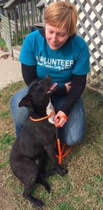 Jennifer is passionate about making a difference in the lives of shelter dogs.