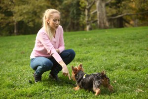Become a certified dog trainer – learn the Lie Down command for all dogs 