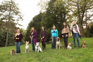 Outdoor training class – One of the CATCH Dog Trainer Programs