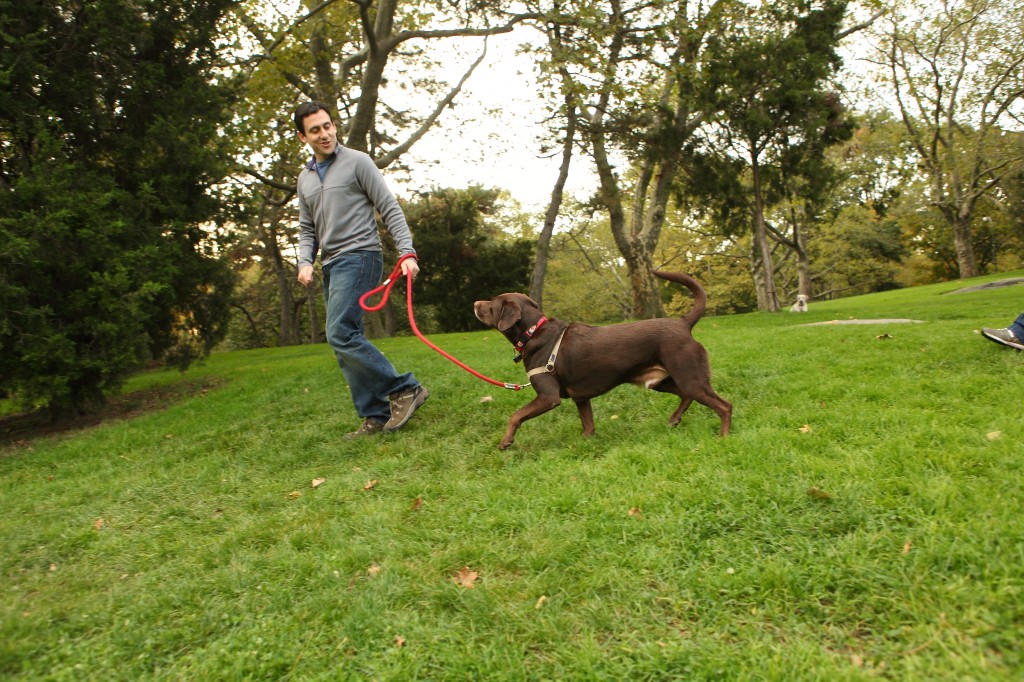 Our Program CATCH Canine Trainers Academy