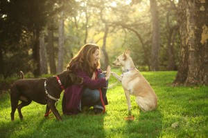 Great dog resources and dog trainer information 