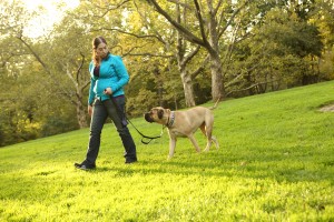Dog trainer careers: Tamar works in a veterinary hospital outside of Philadelphia 