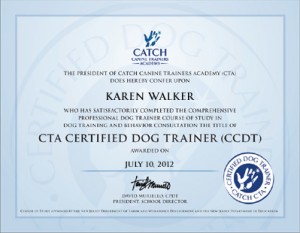 dog trainer certification 