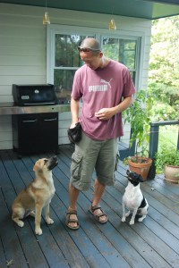 Ferdie teaching manners to Kayla the Husky-Shepherd mix and Scout the Terrier mix.