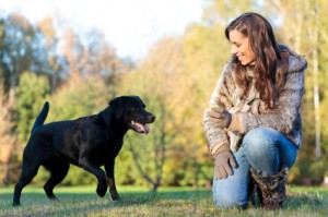 CATCH – The Best Dog Trainer School!