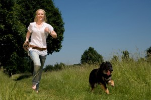 Dog Trainer School – running to the training field
