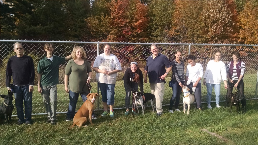 Courses and Tuition CATCH Canine Trainers AcademyCATCH Canine