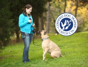 dog trainer career - CATCH Master Class
