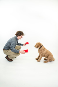 Using a "two-cups" test to reveal a dog’s unique style of intelligence. 
