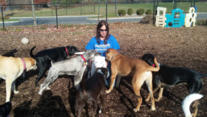 Terri spending valuable time with the shelter dogs at St. Hubert's Animal Welfare Center.