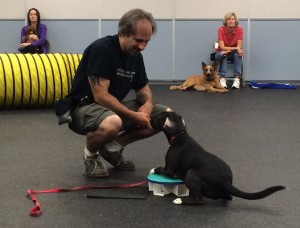 Pasquale and Anya showing off their hard work.