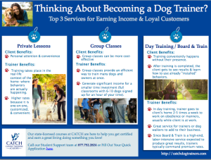 professional dog trainer infographic