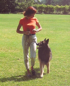 Instructor Pia Silvani has been a leader in our field for over 20 years. Here she demonstrates the classic Heel with her Belgian Tervuren, Lance.