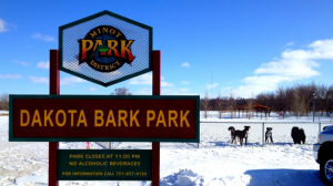 Chilling in the snow at Dakota Bark Park in Minot, ND Photo source: www.bringfido.com