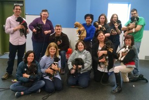 Shelter Dog Training - Puppy Training - CATCH Canine Trainers Academy