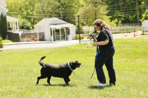 Tracie working with one of the many shelter dogs that benefited from being trained by CATCH students.