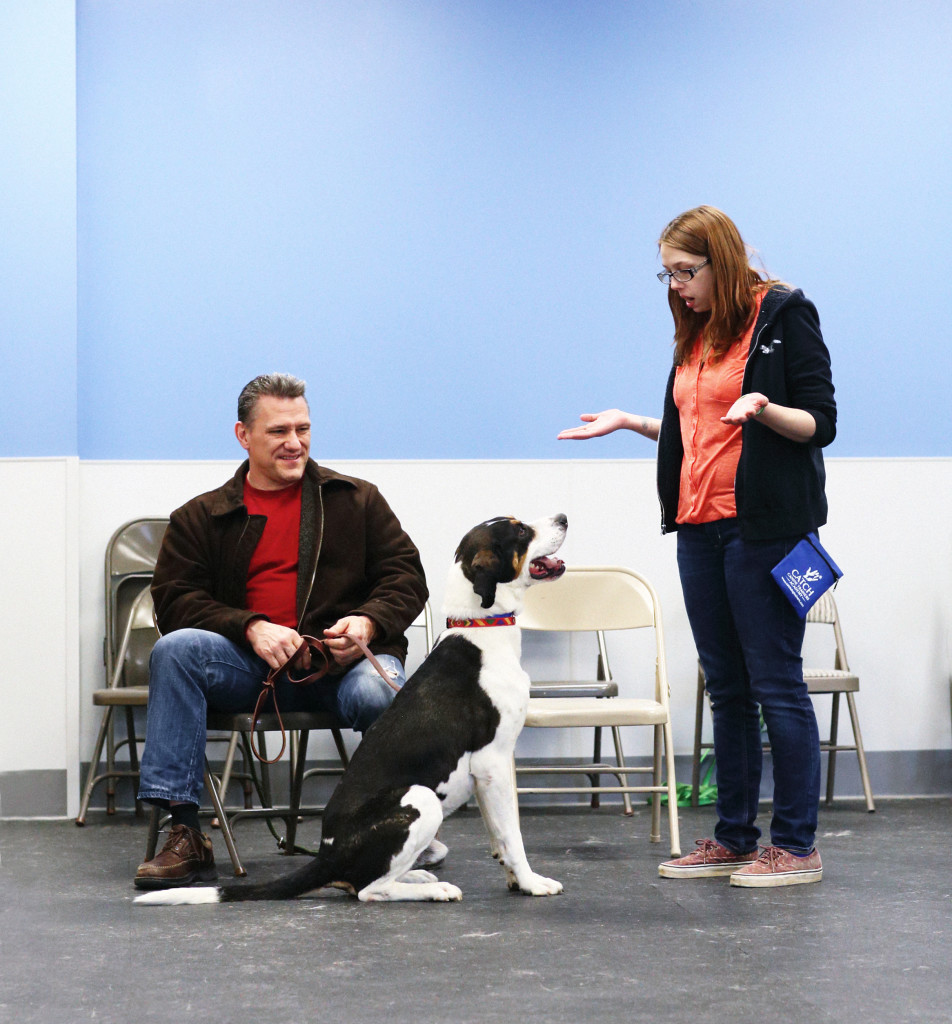 How Do I Change a Dog’s Behavior? CATCH Canine Trainers AcademyCATCH