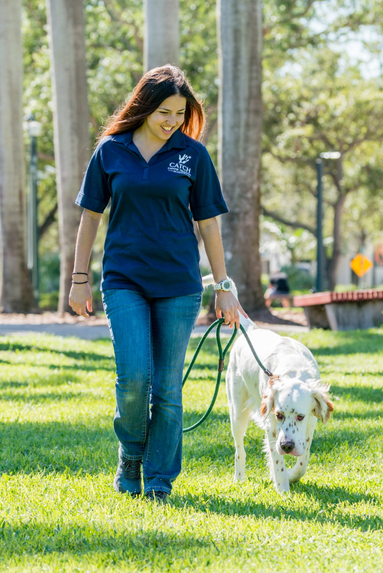 Miami Dog Trainer CATCH Canine Trainers AcademyCATCH Canine Trainers Academy