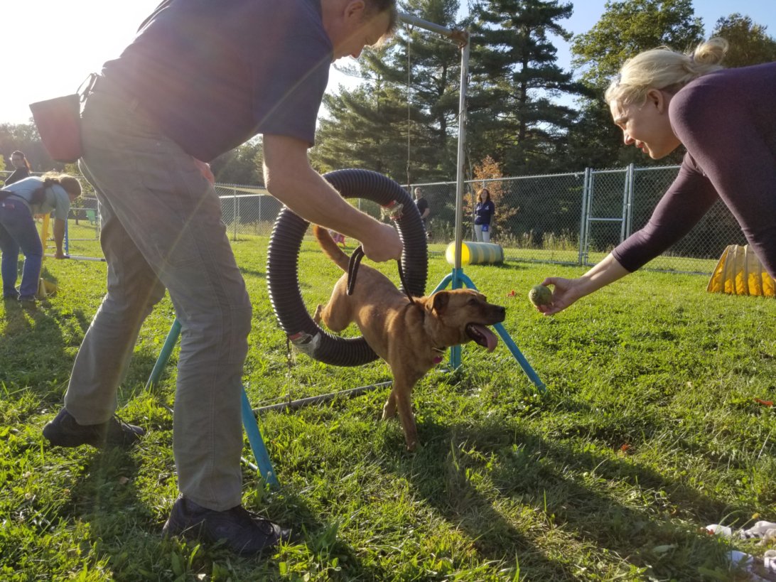 Austin Dog Trainer CATCH Canine Trainers AcademyCATCH