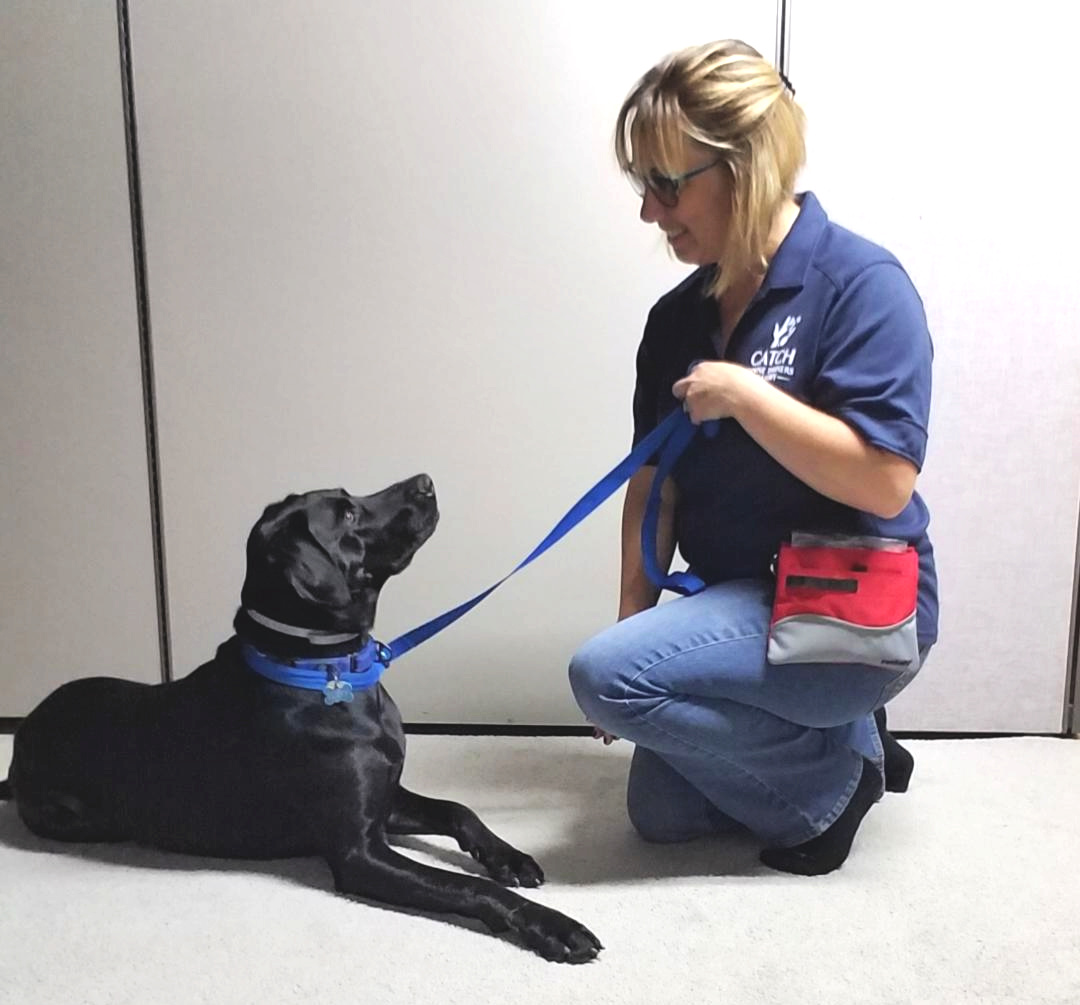 Kim CATCH Canine Trainers AcademyCATCH Canine Trainers Academy