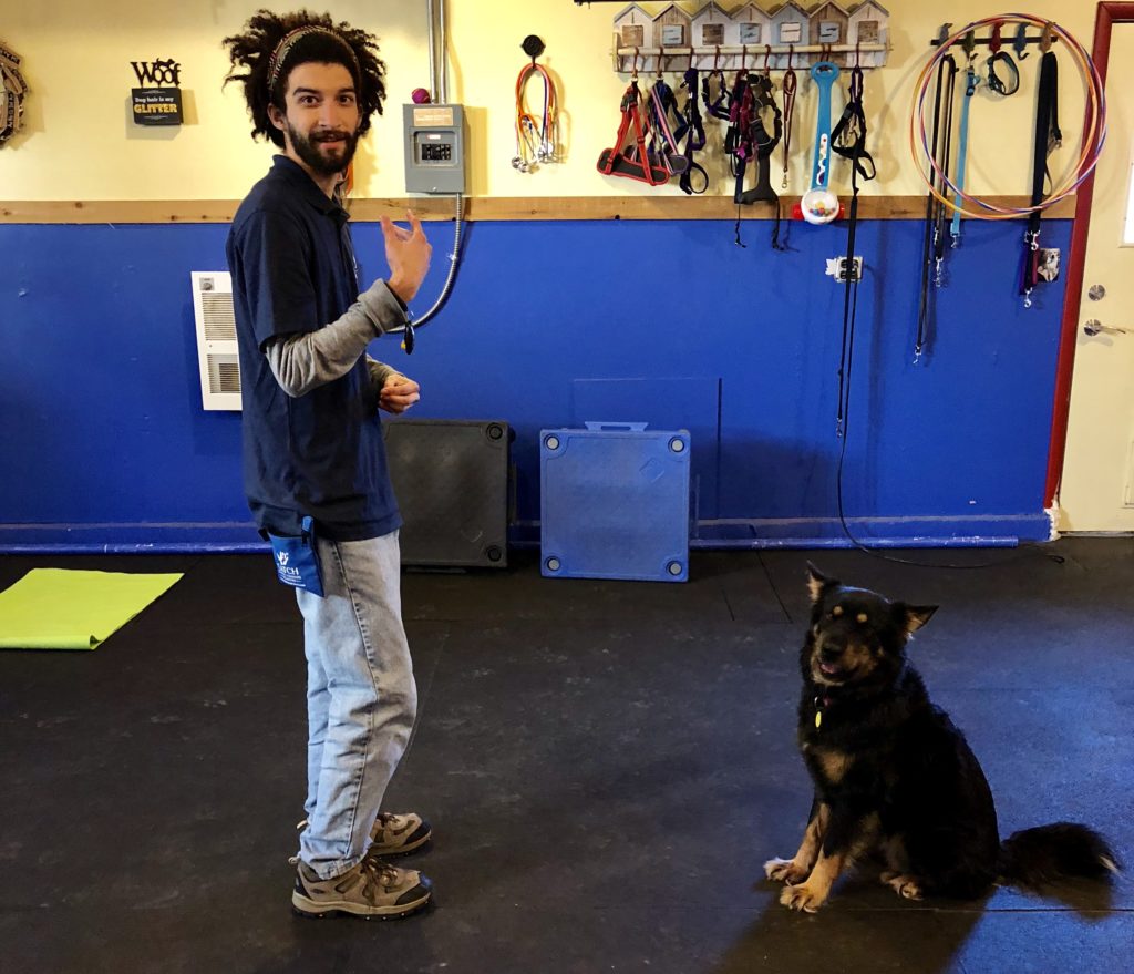 More Testimonials CATCH Canine Trainers AcademyCATCH Canine Trainers