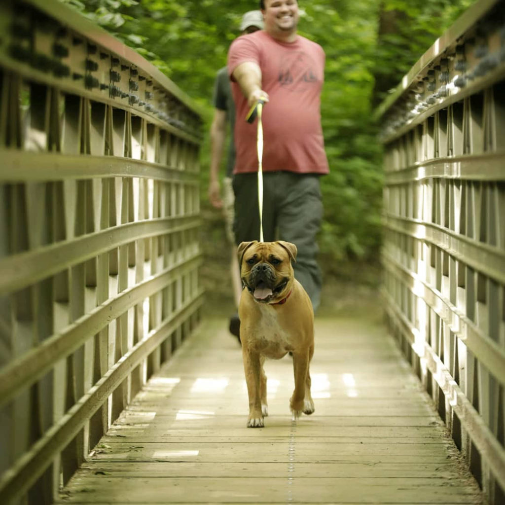 CATCH Community Online Workshops - CATCH Canine Trainers AcademyCATCH ...