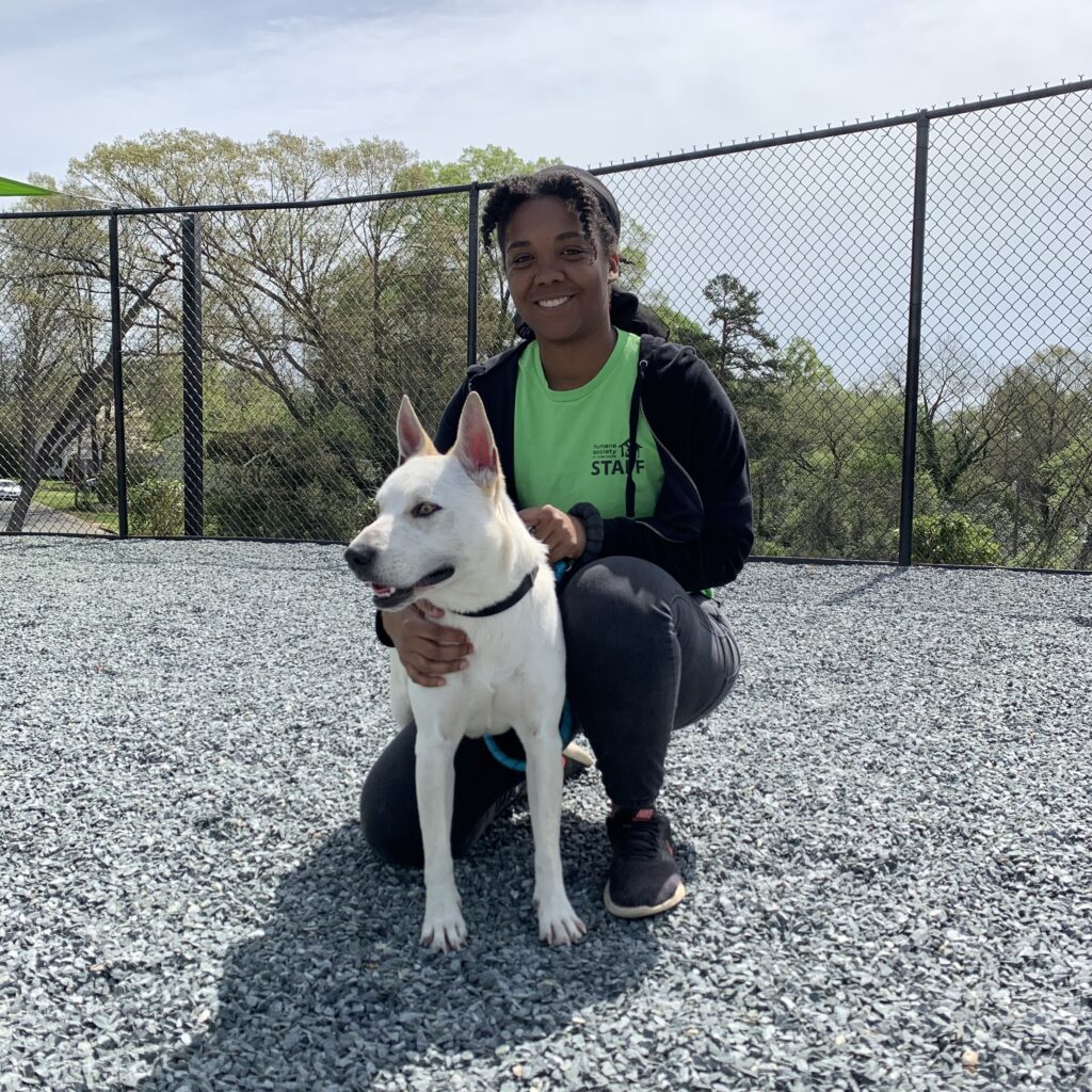 Kayla CATCH Canine Trainers AcademyCATCH Canine Trainers Academy