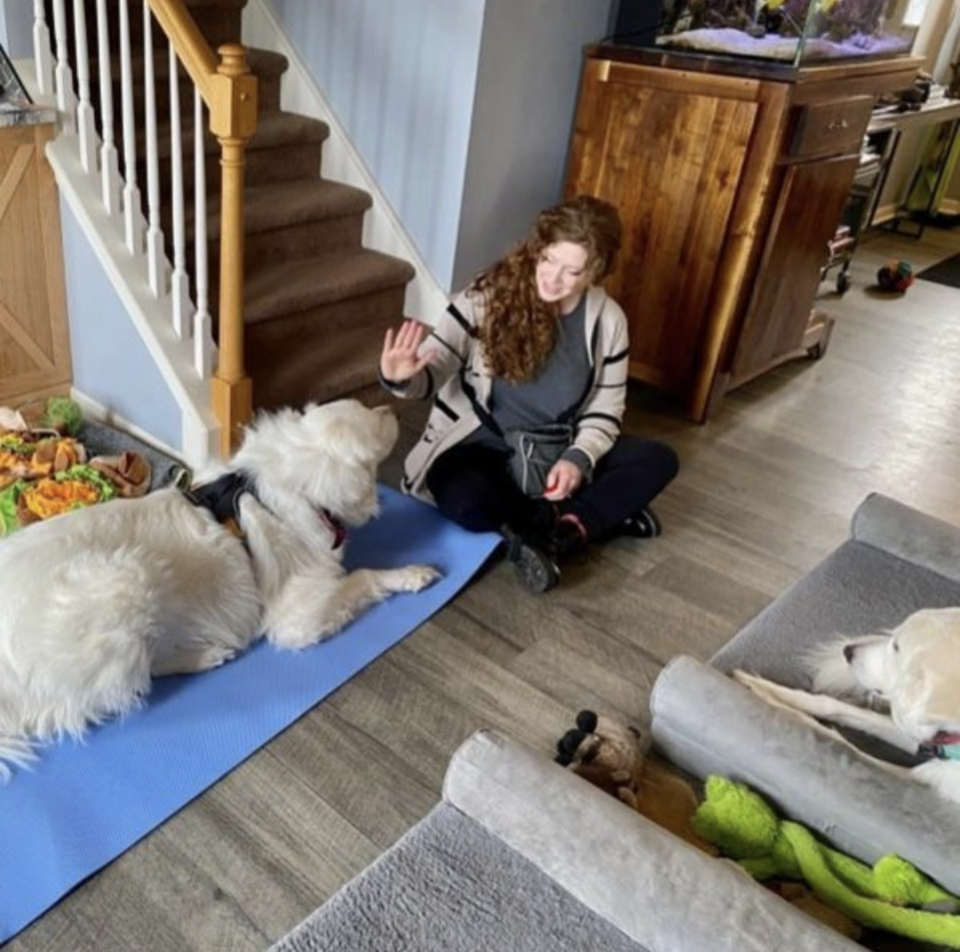 Featured Student CATCH Canine Trainers Academy